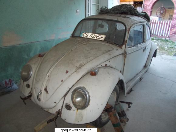 Broasca - VOLKSWAGEN